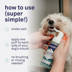 Petpost dental foam application for dogs