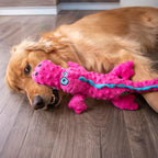 Safe goDog plush pet toy manufactured to child safety standards