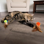 SmartyKat flutter balls lifestyle view for cats
