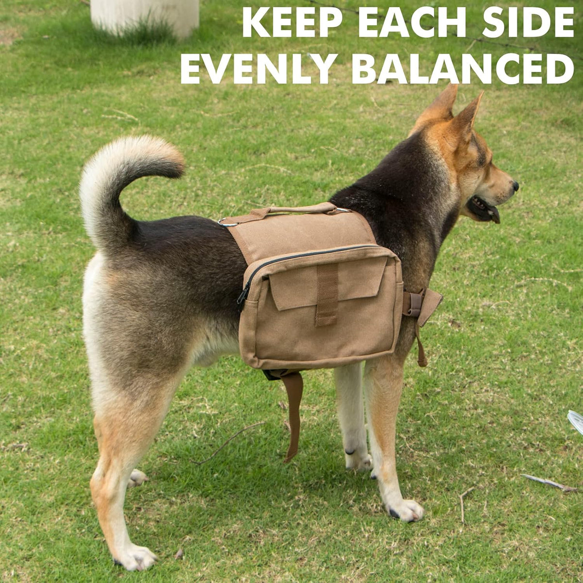 Horse outdoor dog gear harness with included walking leash attached