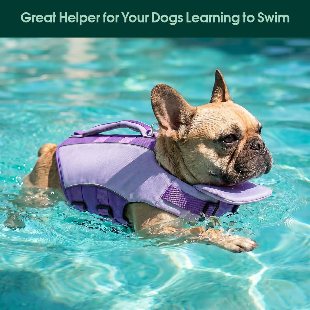 Kuoser safety gear on a small breed dog illustrating secure snug fit.