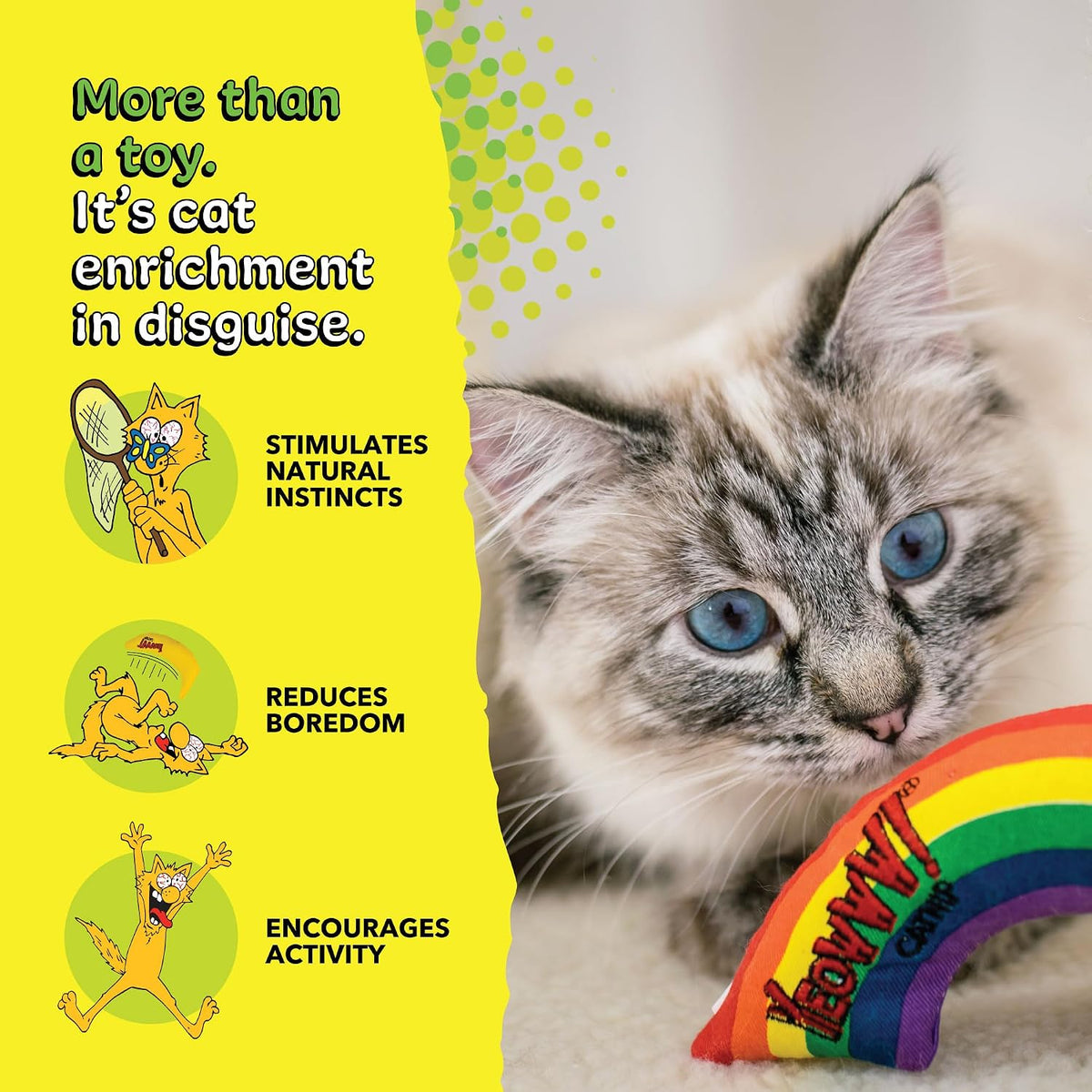 Packaging and product presentation of authentic USA imported cat toy