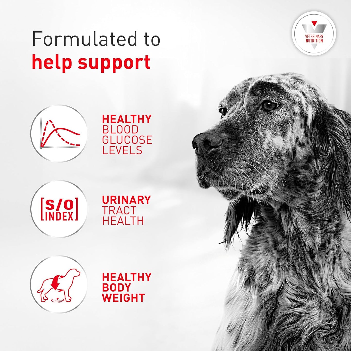 Pack of 12 Royal Canin Glycobalance diabetic wet food cans for adult dogs imported from USA