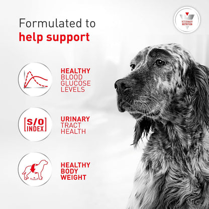 Pack of 12 Royal Canin Glycobalance diabetic wet food cans for adult dogs imported from USA