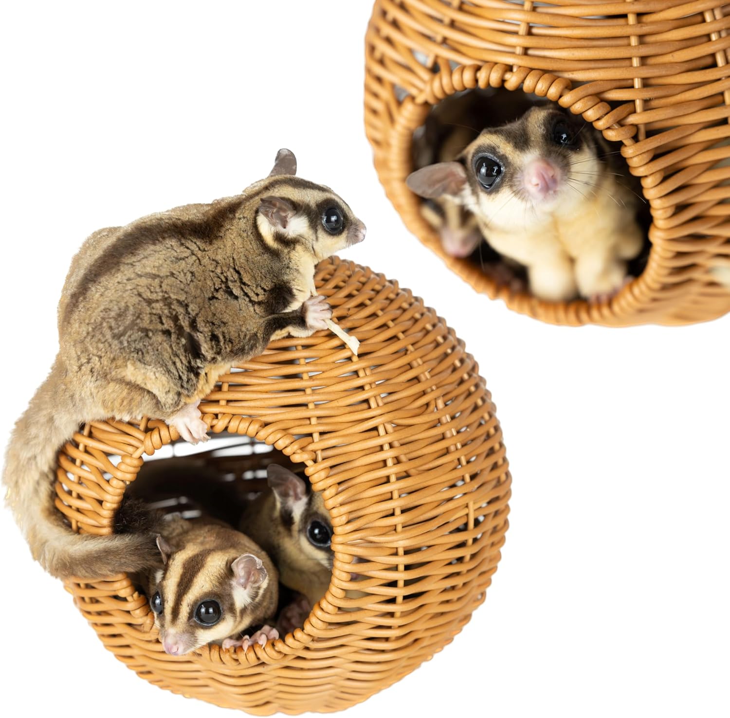 NEOUZA Sugar Glider Pouch Pet Glider Cage Sleep Bag for Small Animals Squirrels Marmosets Rats Hamsters, Metal Frame PP Rattan Durable Water Resistant Non Toxic Safe Material - Image 8