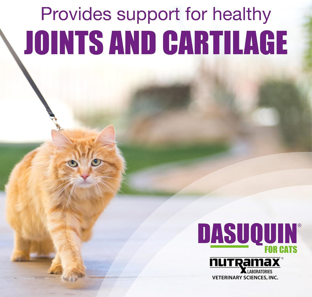 Nutramax Dasuquin cat supplement bottle back label with directions