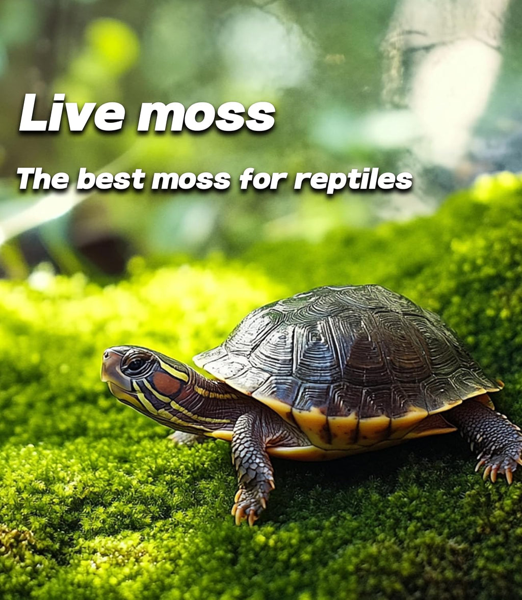 LUCKYRUNES terrarium moss substrate package