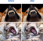 Demonstration of large and small brush heads for pet dental care