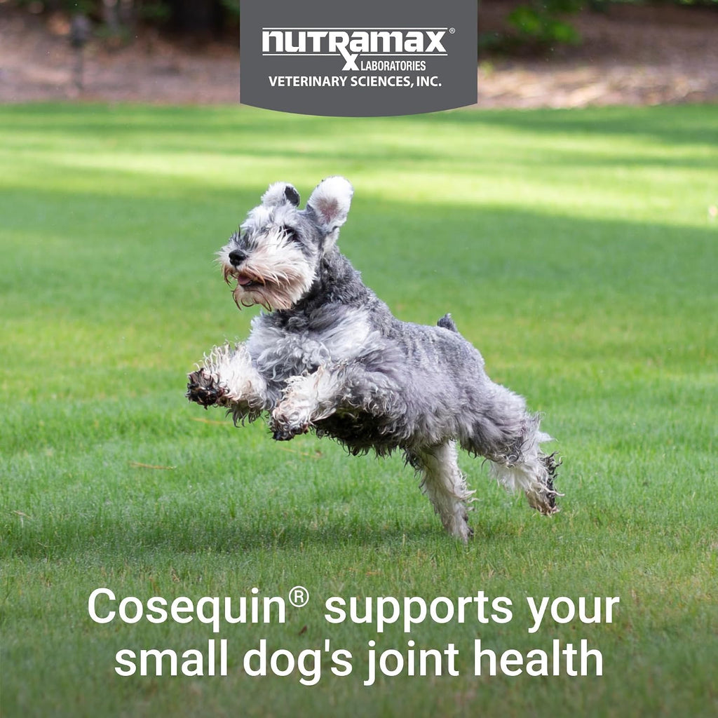 Back label of Nutramax Cosequin Minis showing ingredients like glucosamine and chondroitin.