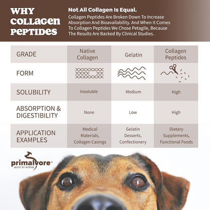 Primalvore pet bone broth liquid pour shot onto dry kibble food