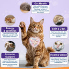 Premium taurine for cats supplement packaging highlighting heart and vision benefits.