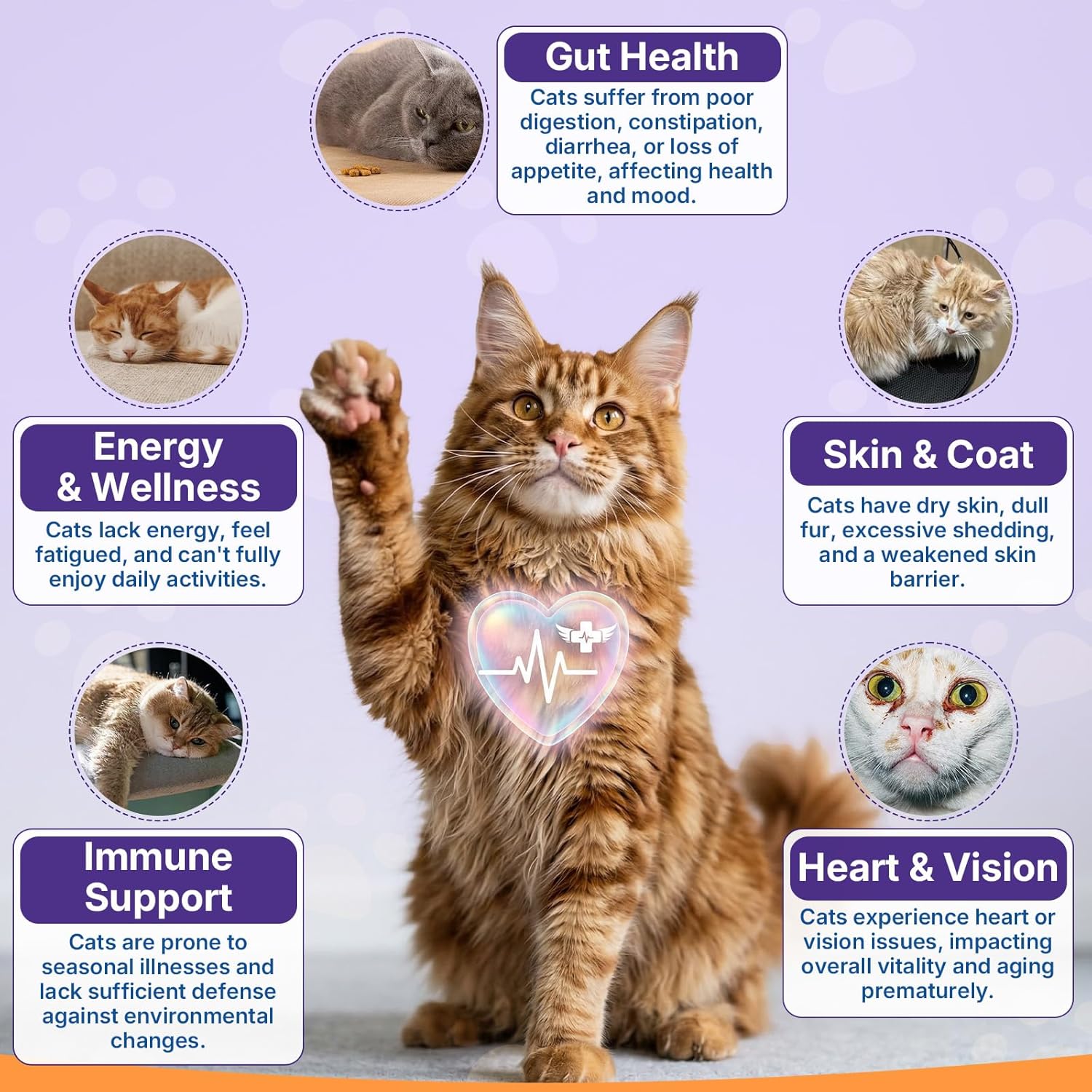 Premium taurine for cats supplement packaging highlighting heart and vision benefits.