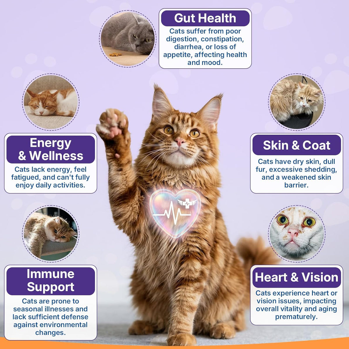 Premium taurine for cats supplement packaging highlighting heart and vision benefits.
