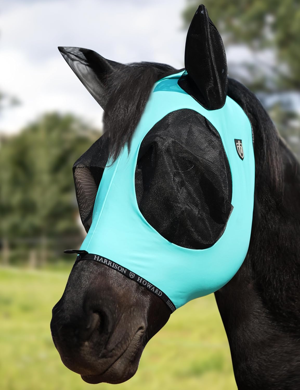 Harrison Howard horse fly mask turquoise green front view