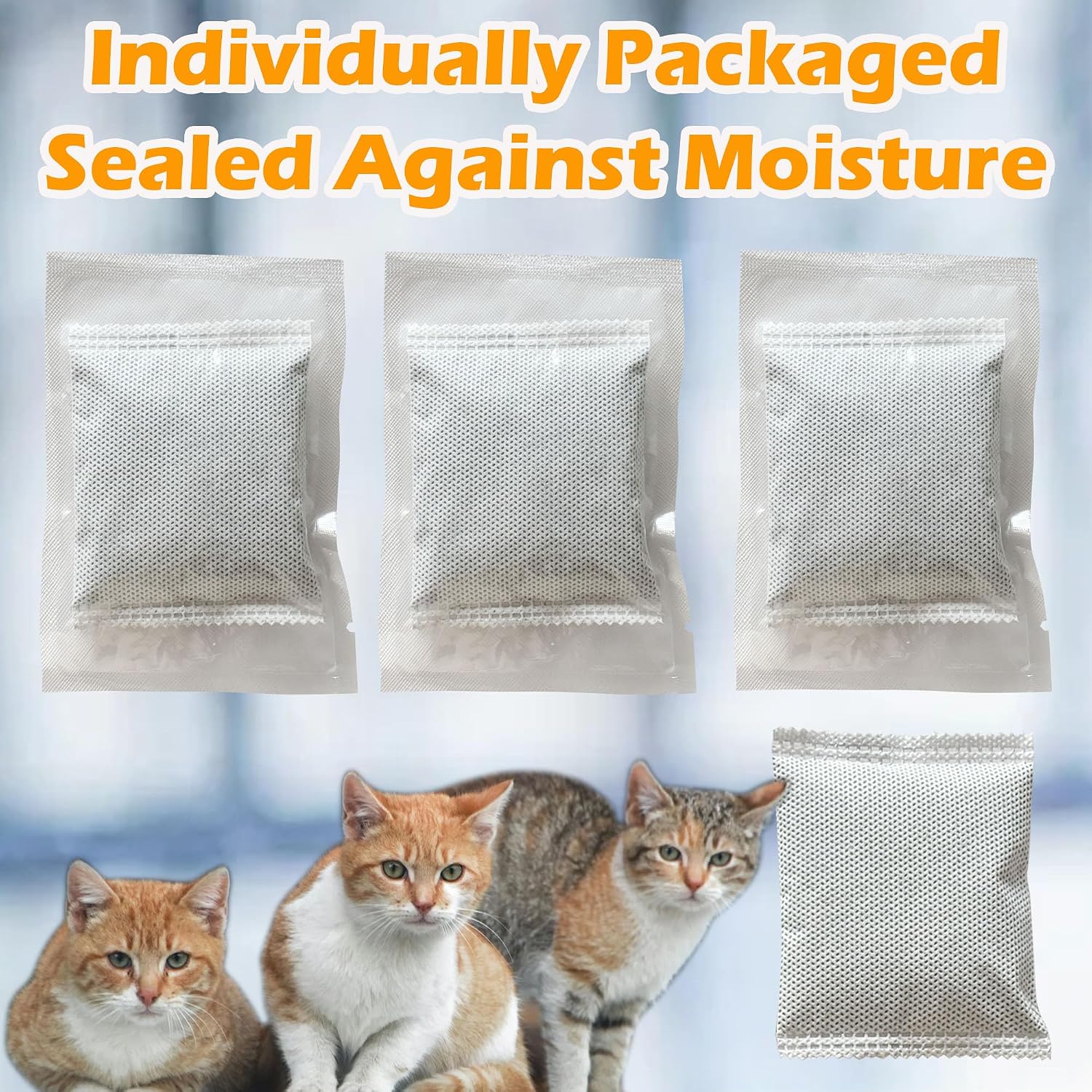 Installing charcoal filter refill into the cat litter box lid