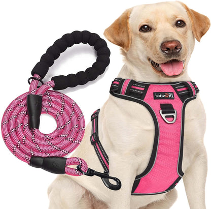 tobeDRI No Pull Dog Harness Adjustable Reflective Oxford Easy Control Medium Large Dog Harness with A Free Heavy Duty 5ft Dog Leash - Image 9
