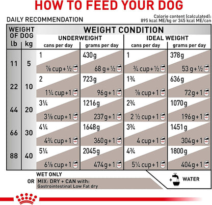 Royal Canin gastrointestinal low fat adult loaf nutrition details and feeding guide