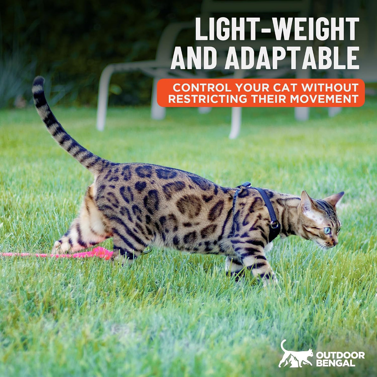 Houdini(TM) Escape Proof Cat Harness and Leash (Black, M/L) - Image 7