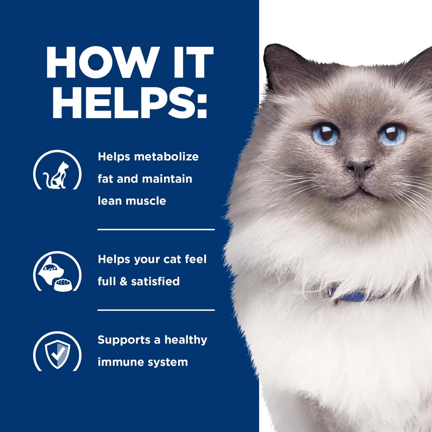 Hill's Prescription Diet cat food for obesity and hunger control