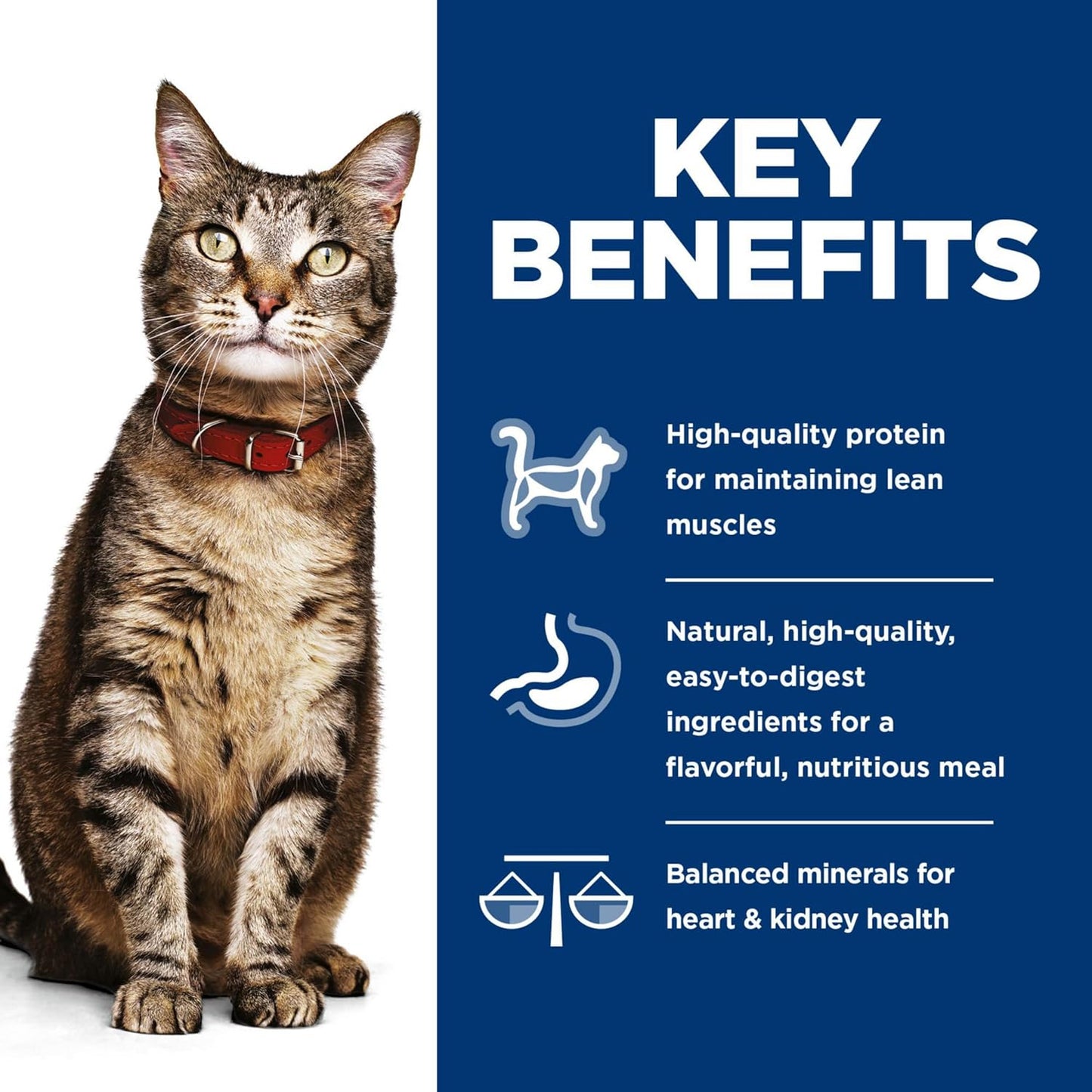 Hill's Science Diet Savory Turkey and Liver minced wet cat food can