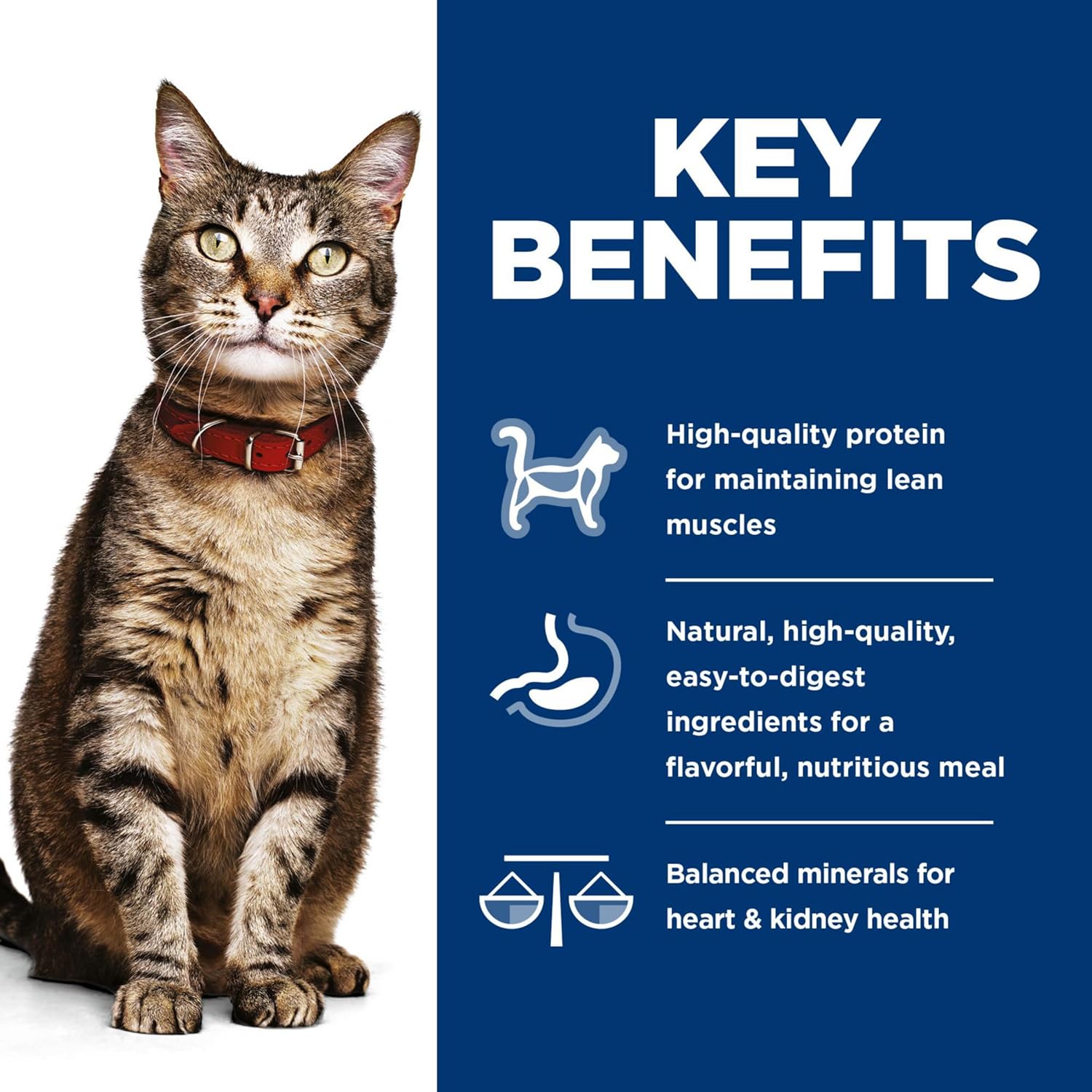 Hill's Science Diet Savory Turkey and Liver minced wet cat food can