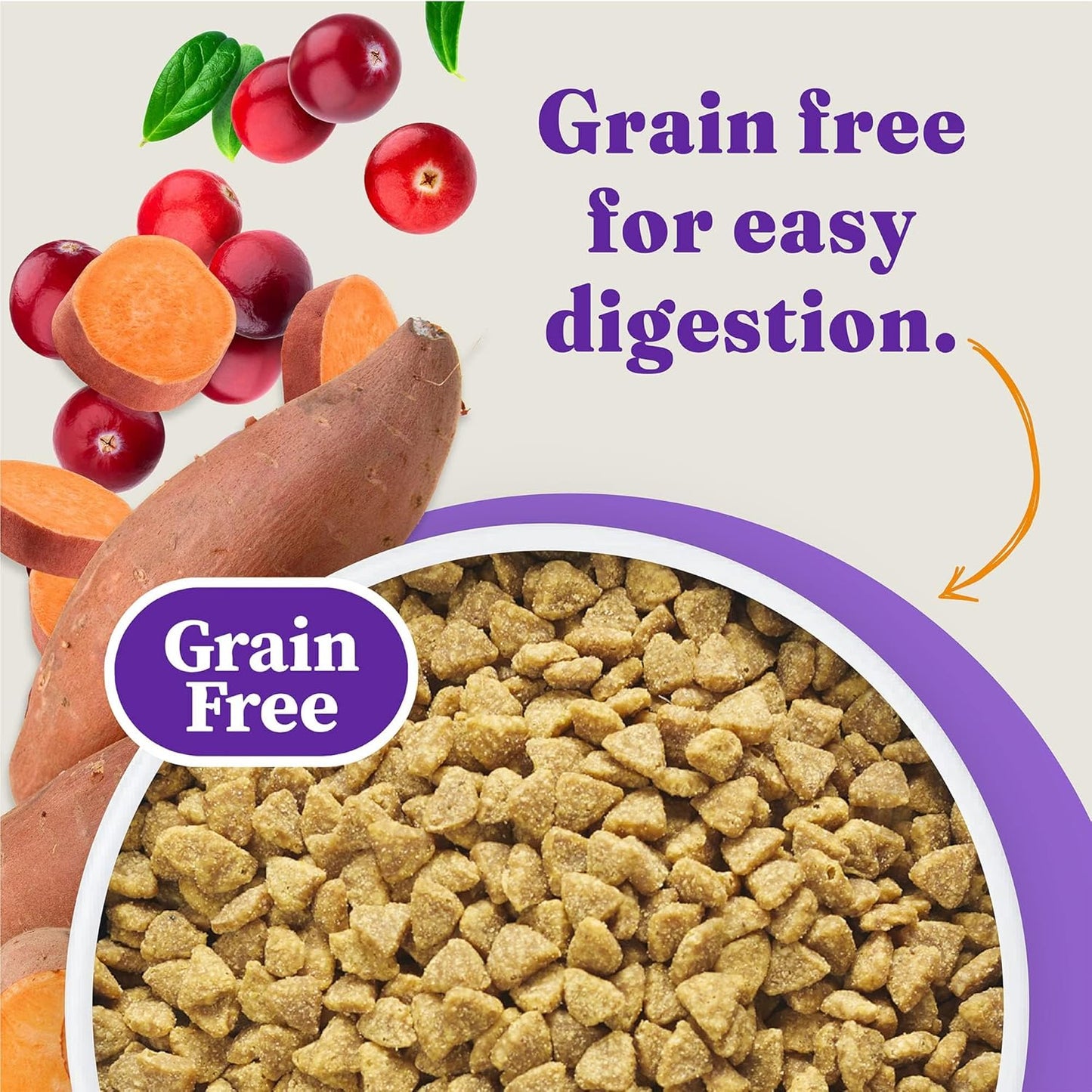 Healthy indoor cat eating from a bowl of Halo cat food