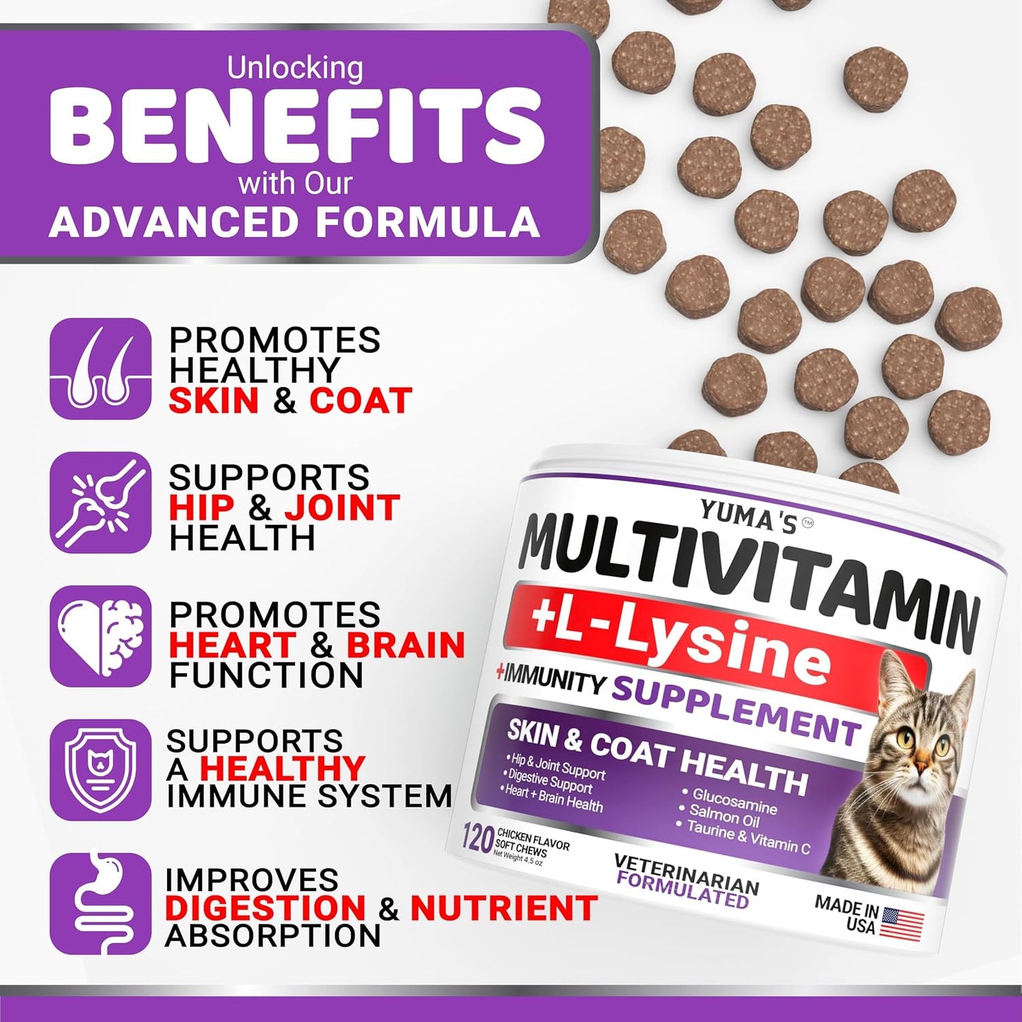 Yuma's cat supplements with taurine and lysine for immune and respiratory health.