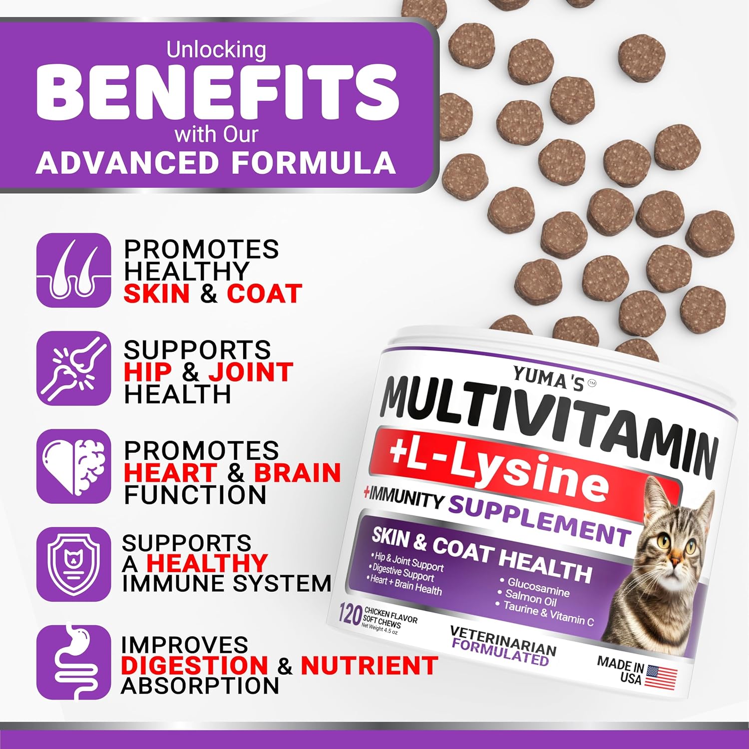 Yuma's cat supplements with taurine and lysine for immune and respiratory health.