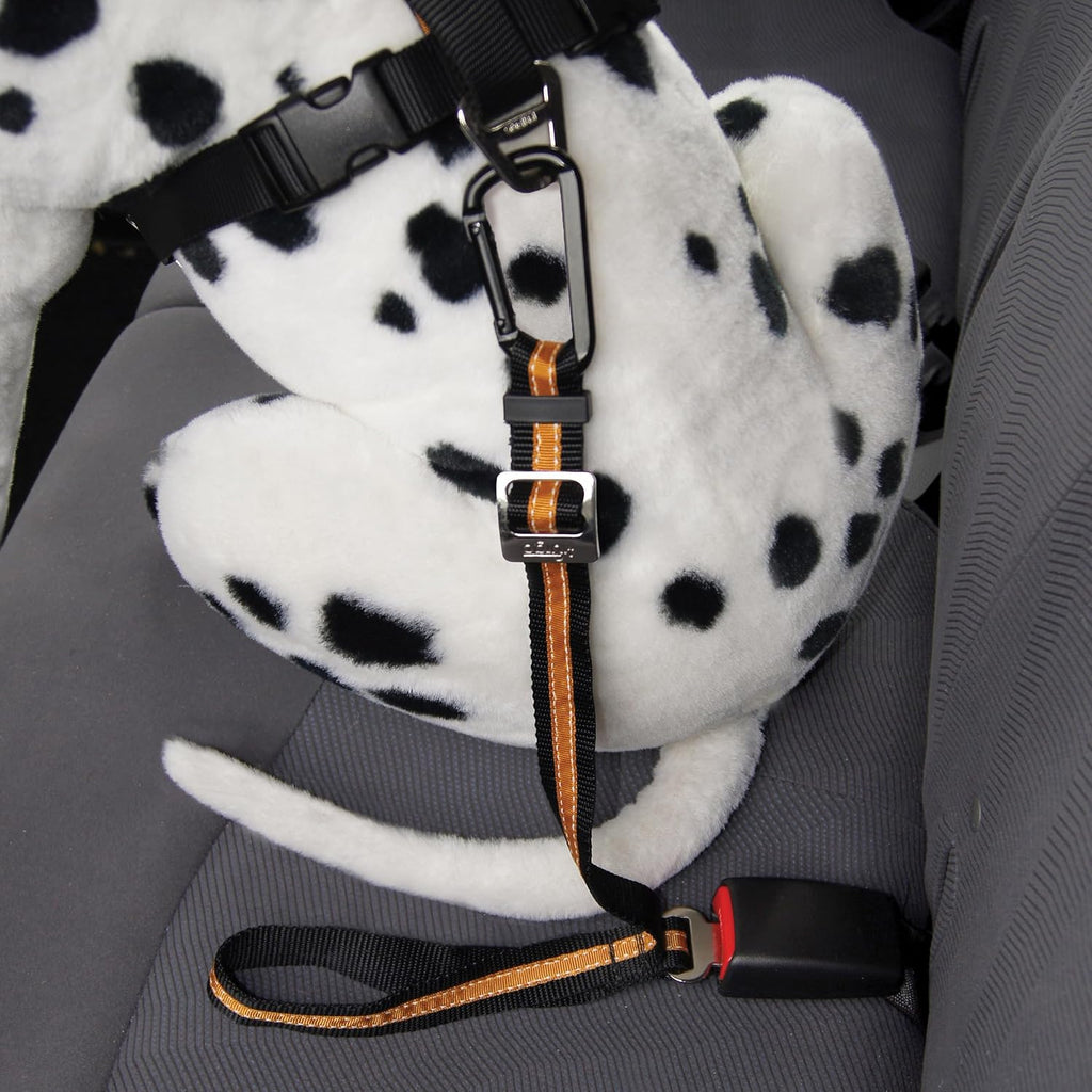 How to attach Kurgo tether to dog harness