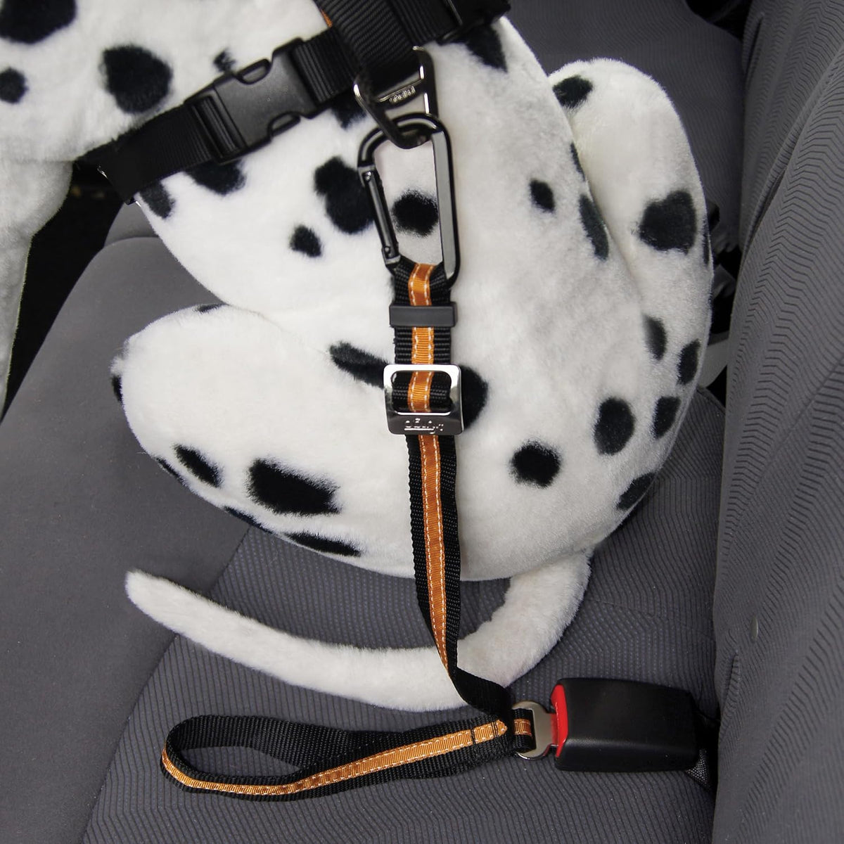How to attach Kurgo tether to dog harness
