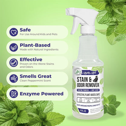 Mighty Mint natural peppermint scent cleaner