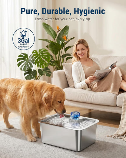 Ergonomic height demonstration of Petdott water fountain