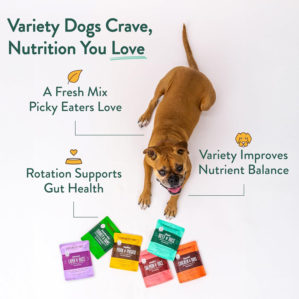 Dog eating healthy wet food from a bowl