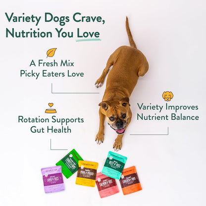 Dog eating healthy wet food from a bowl