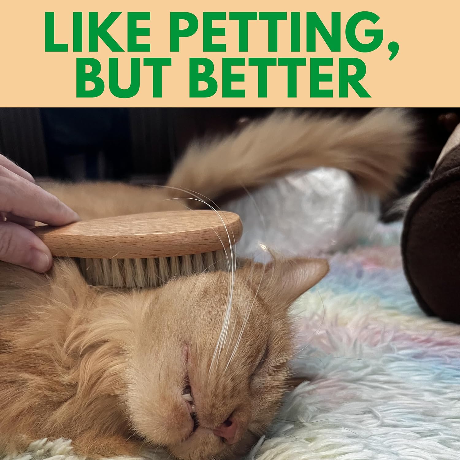 GranNaturals boar bristle brush side profile displaying the lightweight construction for pet grooming.
