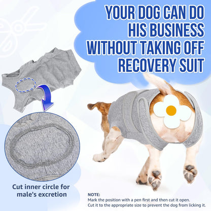 SlowTon medical cone alternative for dogs abdominal wound protection layout