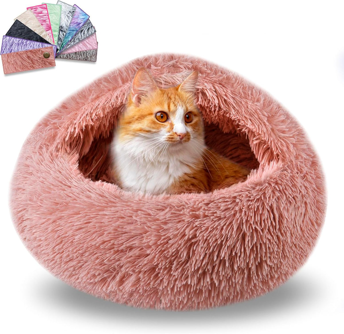 Formycatie cat bed in a home living room setting