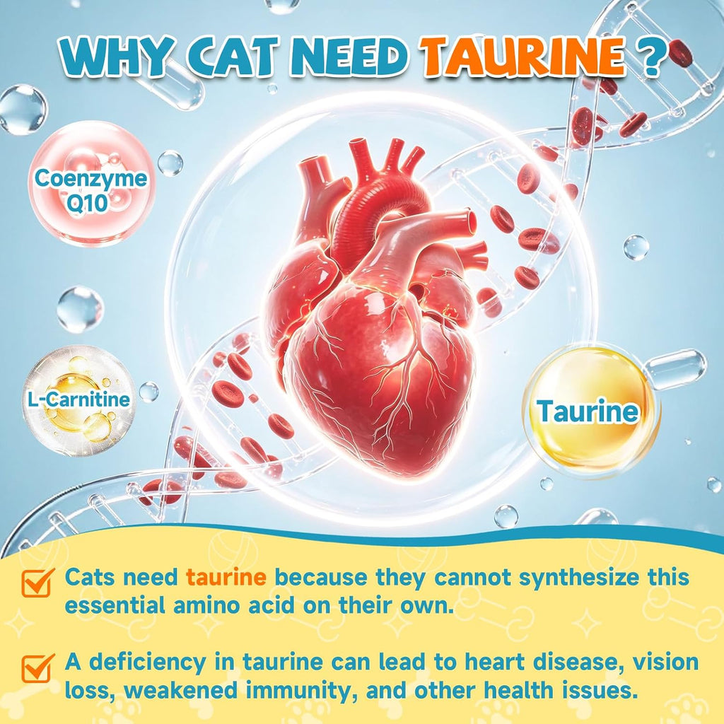 Dropper application of liquid taurine supplement being added to cat food