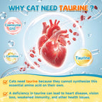 Dropper application of liquid taurine supplement being added to cat food