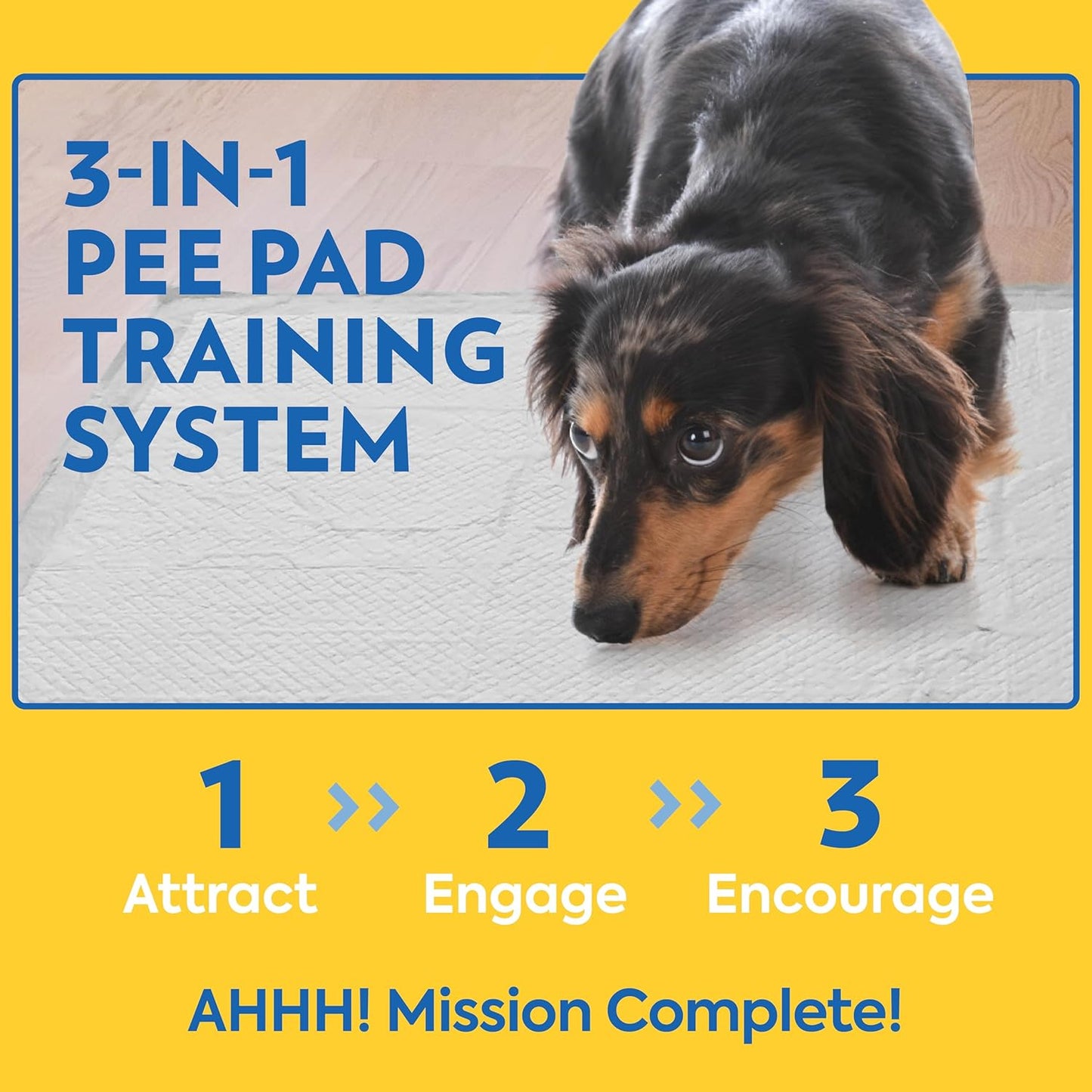 Large dog using the pheromone attracted house training pad indoors.