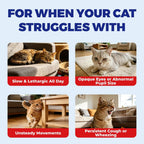 Feline cardiovascular and vision health vitamins featuring ten point fifty eight ounce packaging