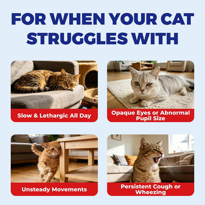 Feline cardiovascular and vision health vitamins featuring ten point fifty eight ounce packaging