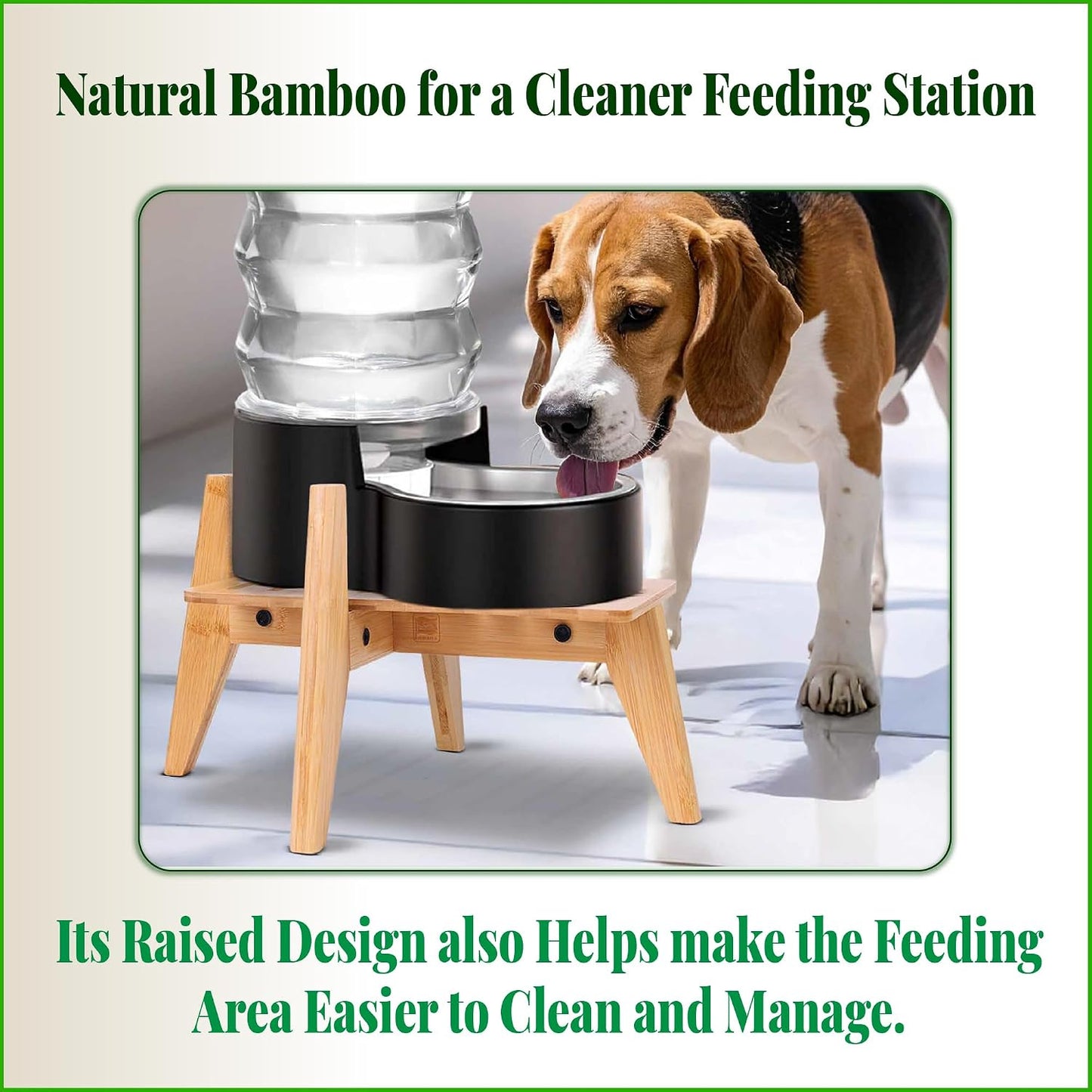 ZPirates elevated pet feeding station stand for medium dogs close up