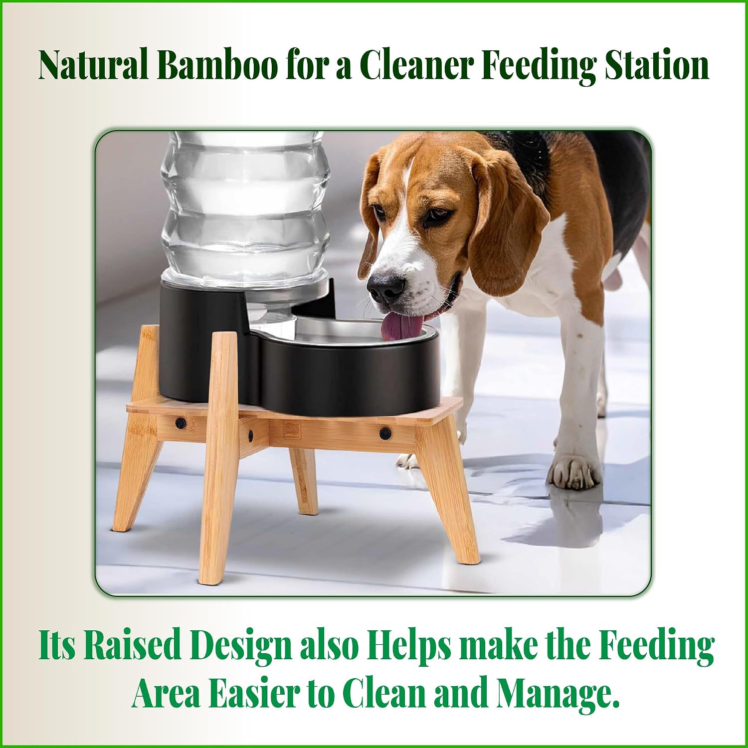 ZPirates elevated pet feeding station stand for medium dogs close up