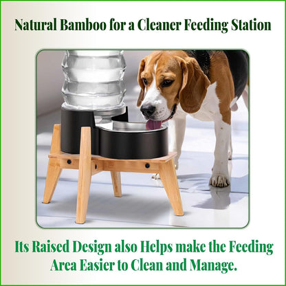 ZPirates elevated pet feeding station stand for medium dogs close up