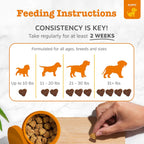 Puppy probiotic soft chews with pumpkin and Bacillus subtilis for immune support