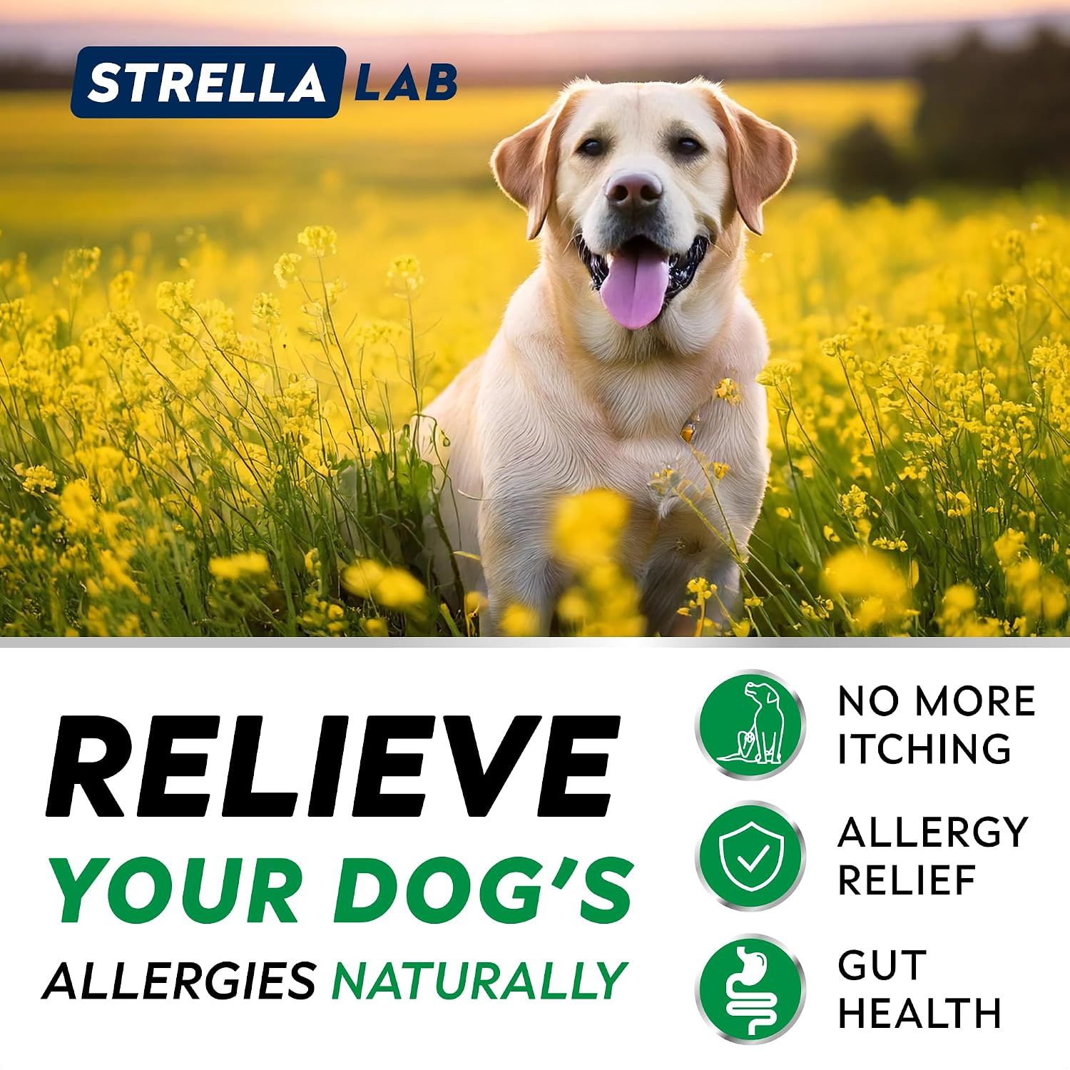 StrellaLab chicken flavor anti itch dog chewable supplement facts panel
