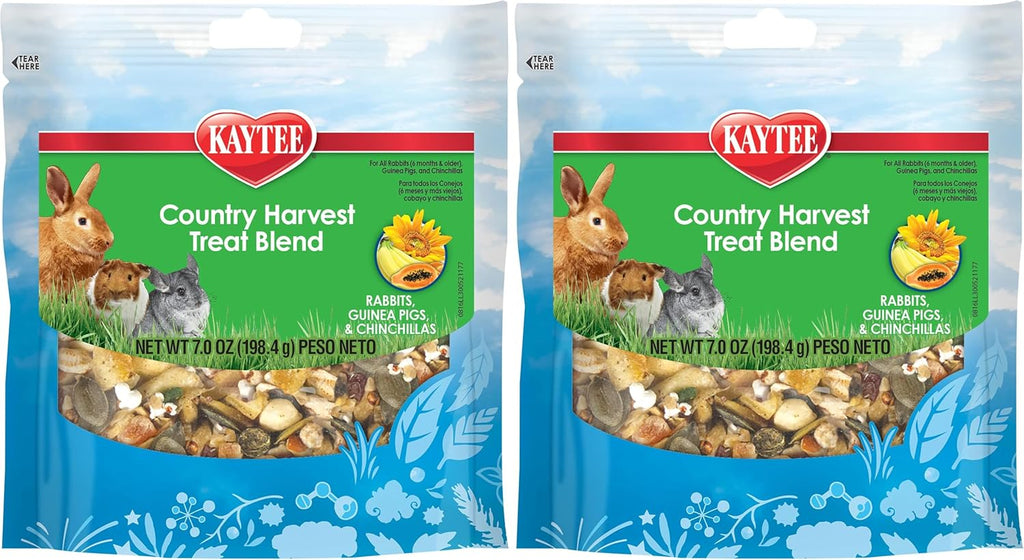 Rabbit enjoying Kaytee Country Harvest Treat Blend from a bowl
