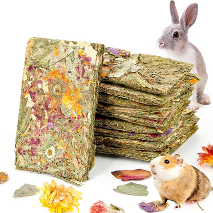 Abizoo Rabbit Natural Treats pack of ten front view showing compressed Timothy hay chips for bunny dental care.
