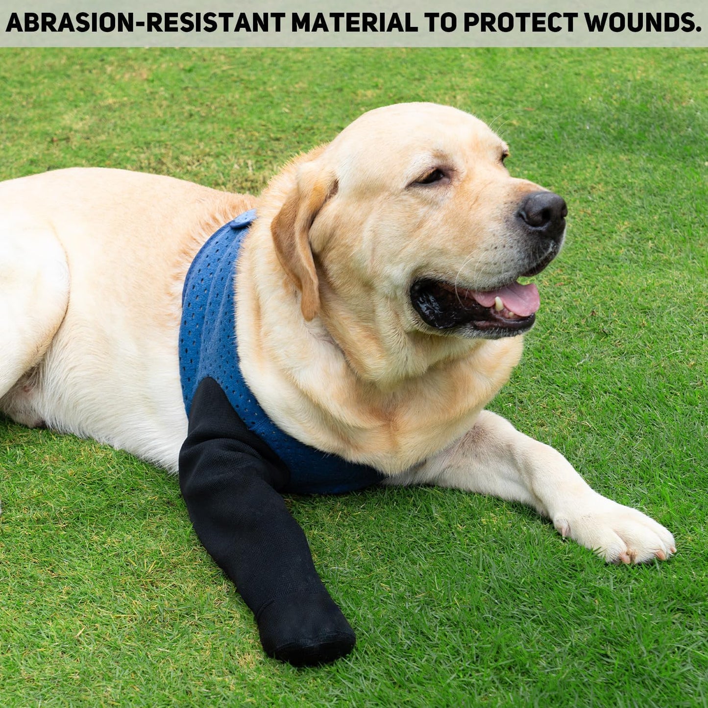Close up of non-slip traction bottom on dog boot